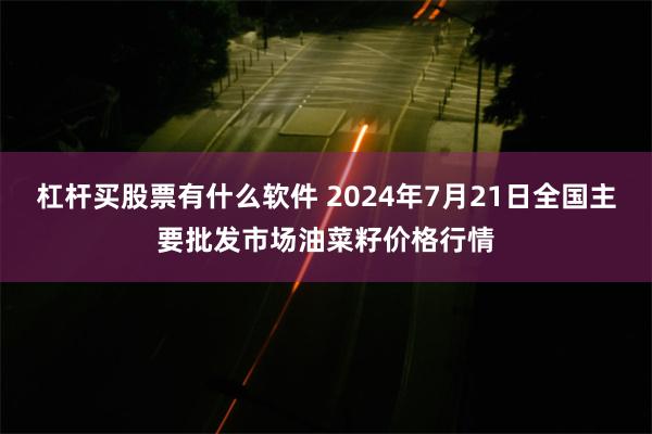 杠杆买股票有什么软件 2024年7月21日全国主要批发市场油菜籽价格行情