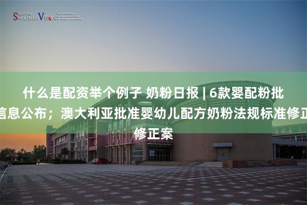 什么是配资举个例子 奶粉日报 | 6款婴配粉批件信息公布；澳大利亚批准婴幼儿配方奶粉法规标准修正案