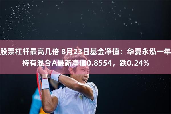 股票杠杆最高几倍 8月23日基金净值：华夏永泓一年持有混合A最新净值0.8554，跌0.24%