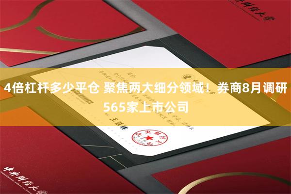 4倍杠杆多少平仓 聚焦两大细分领域！券商8月调研565家上市公司