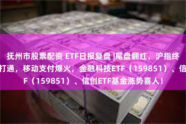 抚州市股票配资 ETF日报复盘 |尾盘翻红，沪指终结三连跌！淘宝微信打通，移动支付爆火，金融科技ETF（159851）、信创ETF基金涨势喜人！