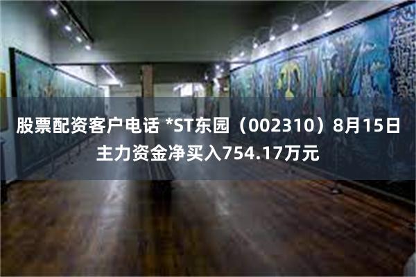 股票配资客户电话 *ST东园（002310）8月15日主力资金净买入754.17万元