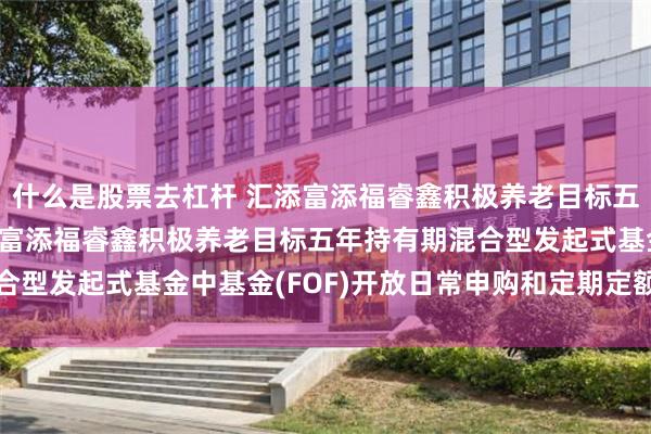 什么是股票去杠杆 汇添富添福睿鑫积极养老目标五年混合(FOF): 汇添富添福睿鑫积极养老目标五年持有期混合型发起式基金中基金(FOF)开放日常申购和定期定额投资业务公告