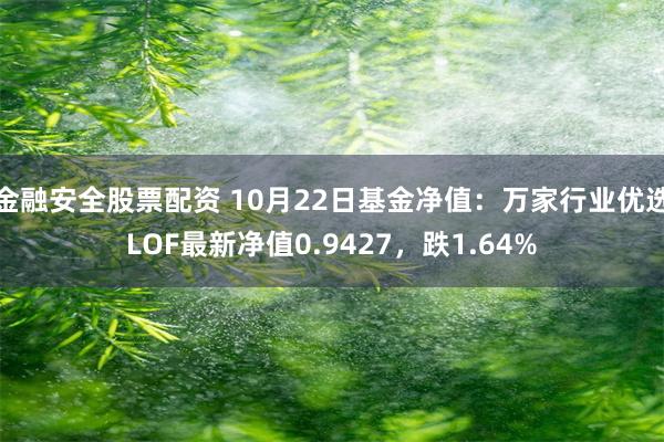 金融安全股票配资 10月22日基金净值：万家行业优选LOF最新净值0.9427，跌1.64%