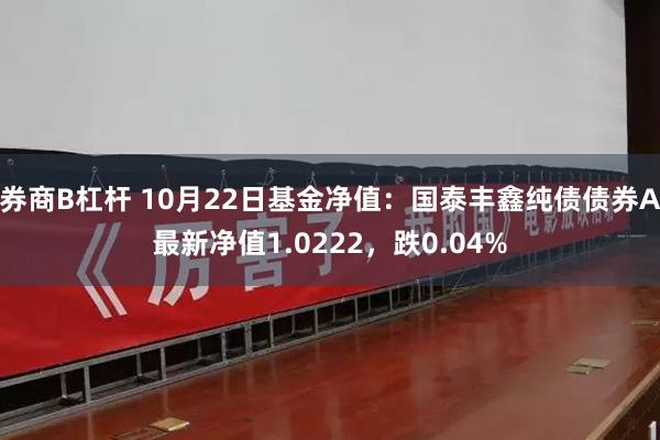 券商B杠杆 10月22日基金净值：国泰丰鑫纯债债券A最新净值1.0222，跌0.04%