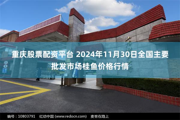 重庆股票配资平台 2024年11月30日全国主要批发市场桂鱼价格行情