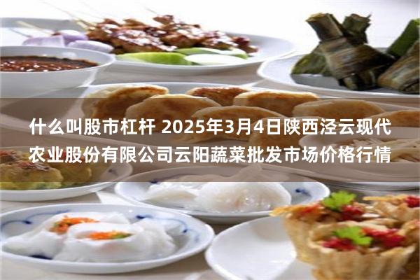 什么叫股市杠杆 2025年3月4日陕西泾云现代农业股份有限公司云阳蔬菜批发市场价格行情